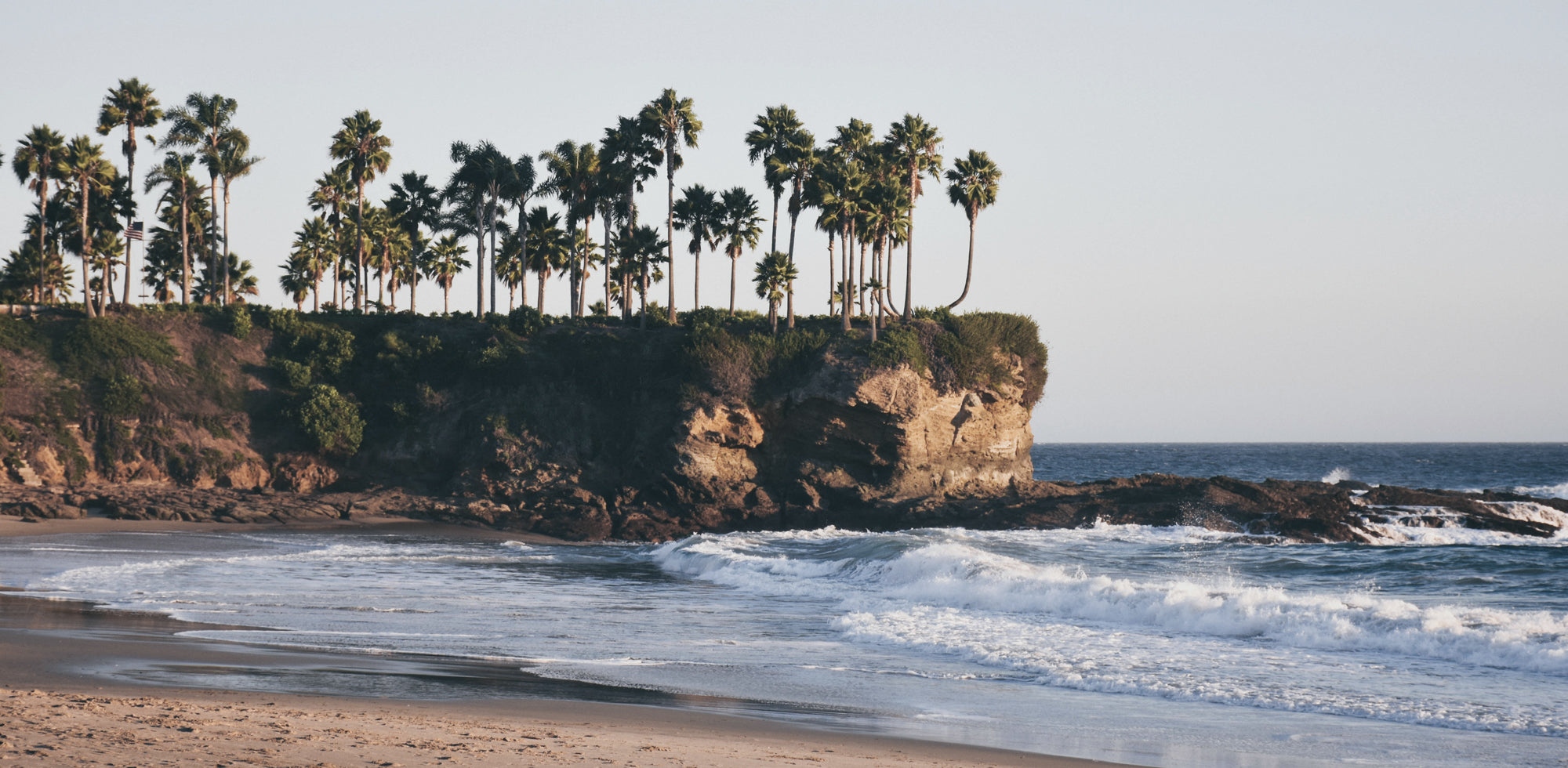 Laguna Beach coastal cliffs and palm trees at sunset near Toes on the Nose surf shop