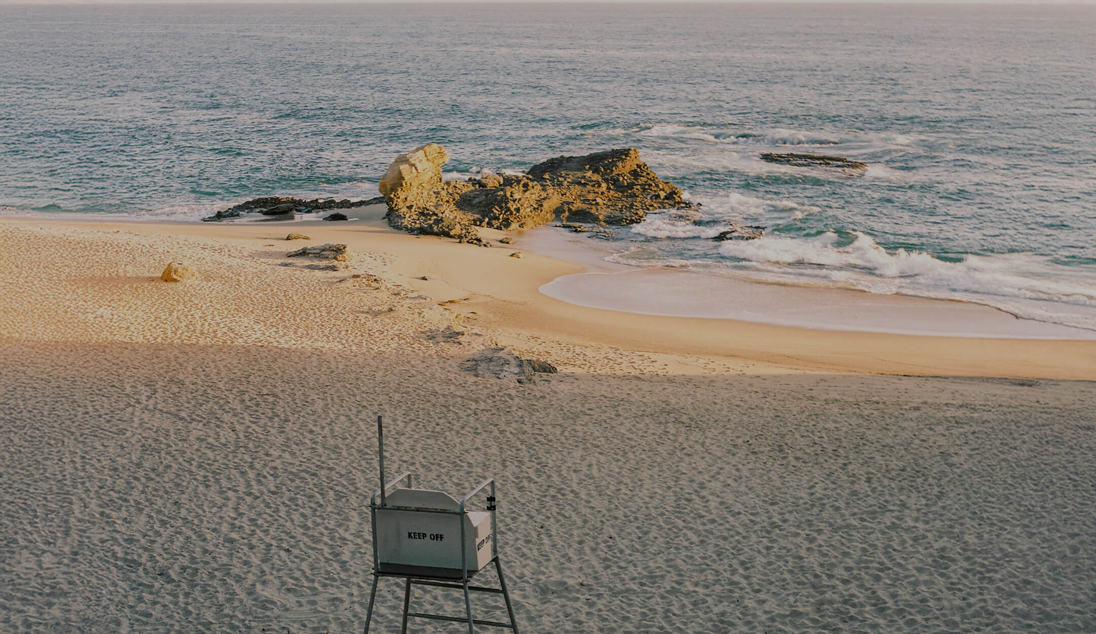 Toes on the Nose End of Season Sale on coastal landscape desktop view